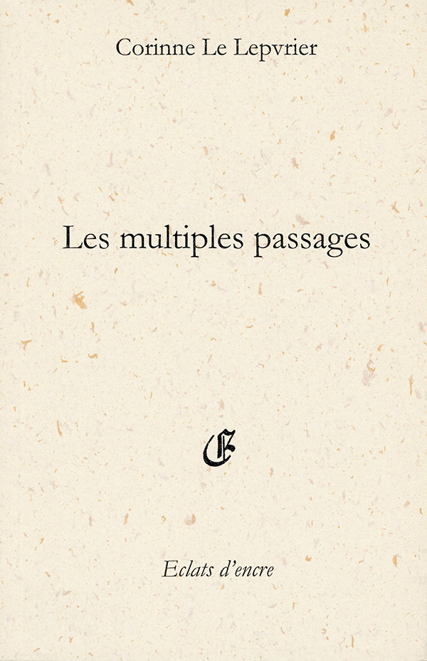 LeLepvrier_Les_multiples_passages